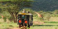 Slide 1 Safaris