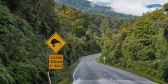 Slide 2 NZ