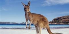 Slide 1 Australia