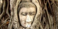 Tailandia 1