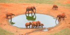 Slide 2 Safaris